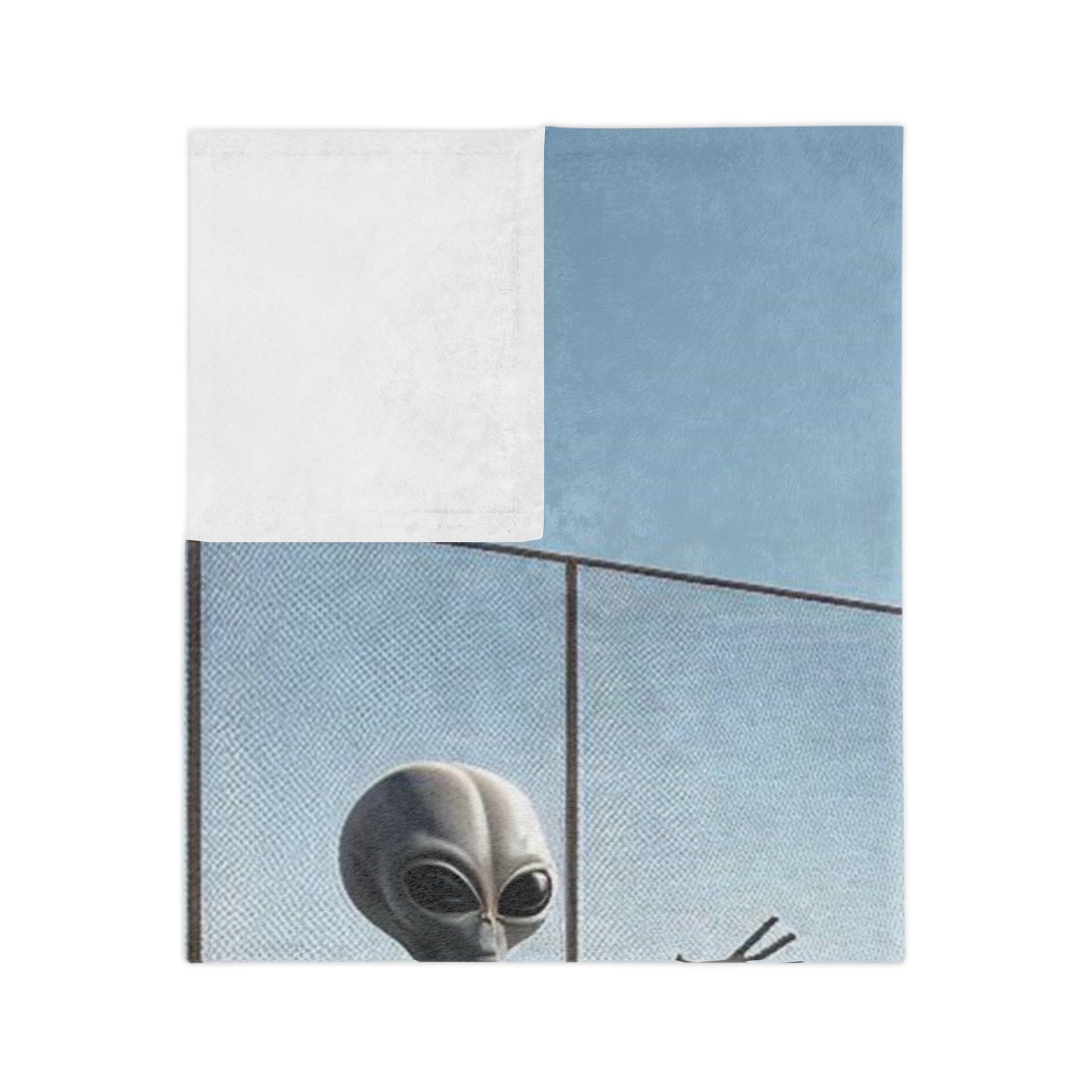 Alien Pickeball Velveteen Microfiber Blanket