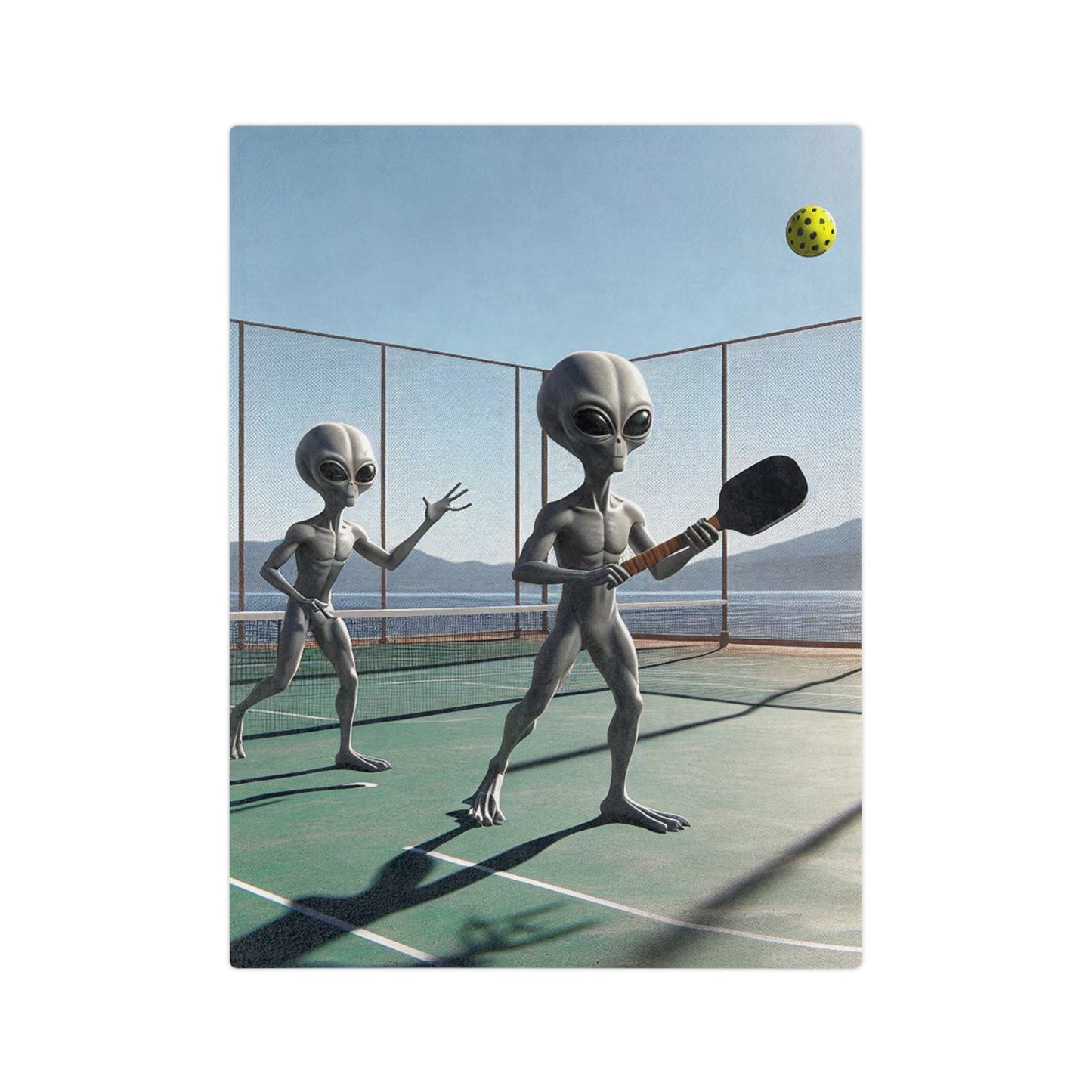 Alien Pickeball Velveteen Microfiber Blanket