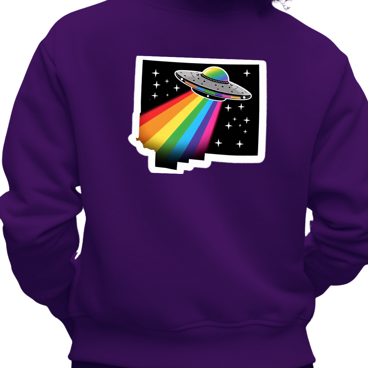 New Mexico PRIDE Sweatshirt On The Back