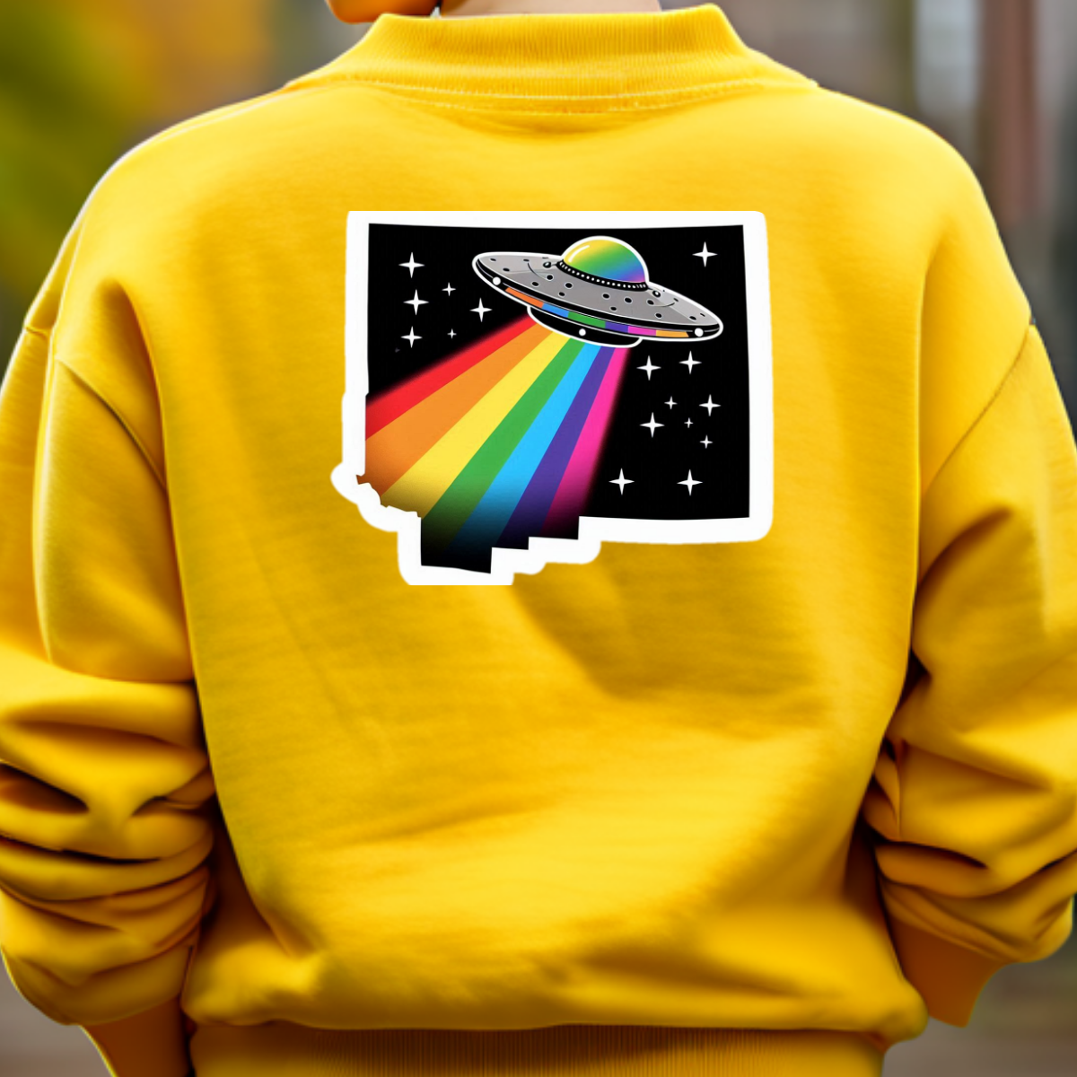 New Mexico PRIDE Sweatshirt On The Back