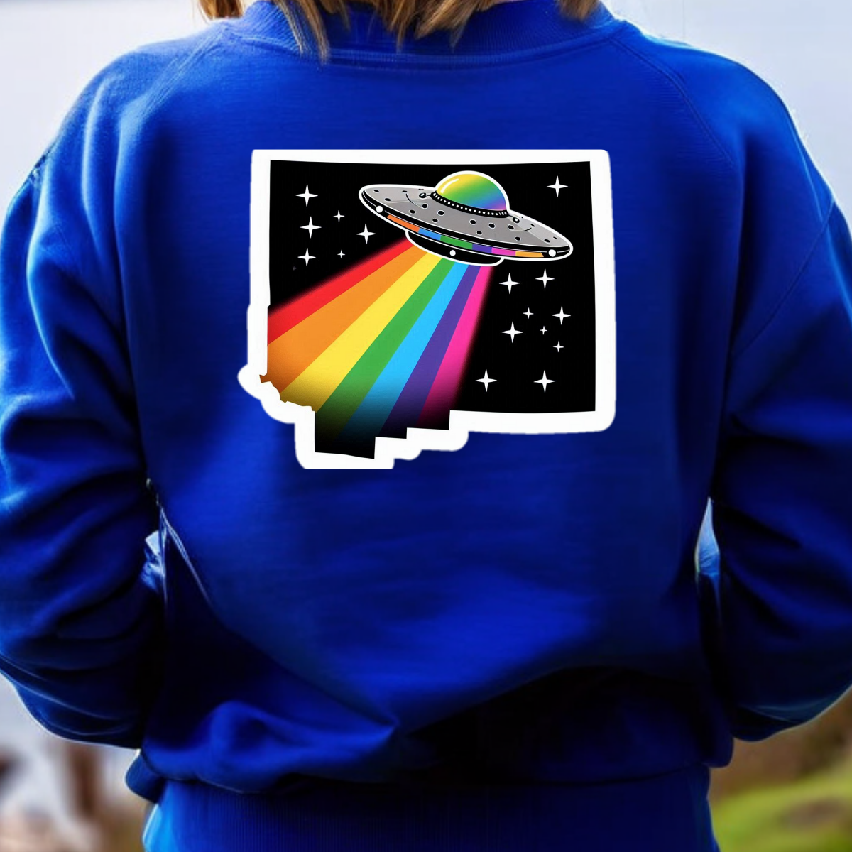 New Mexico PRIDE Sweatshirt On The Back