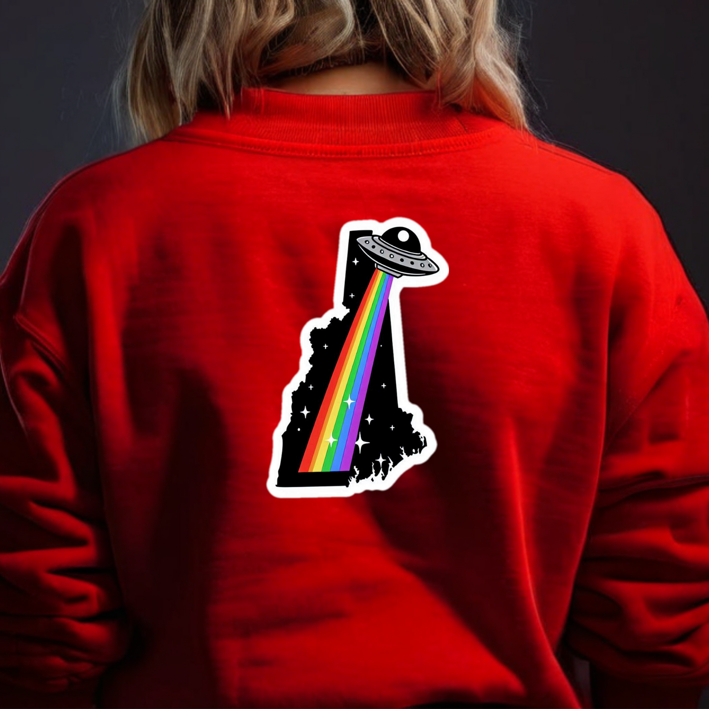 New Hampshire PRIDE Sweatshirt On The Back
