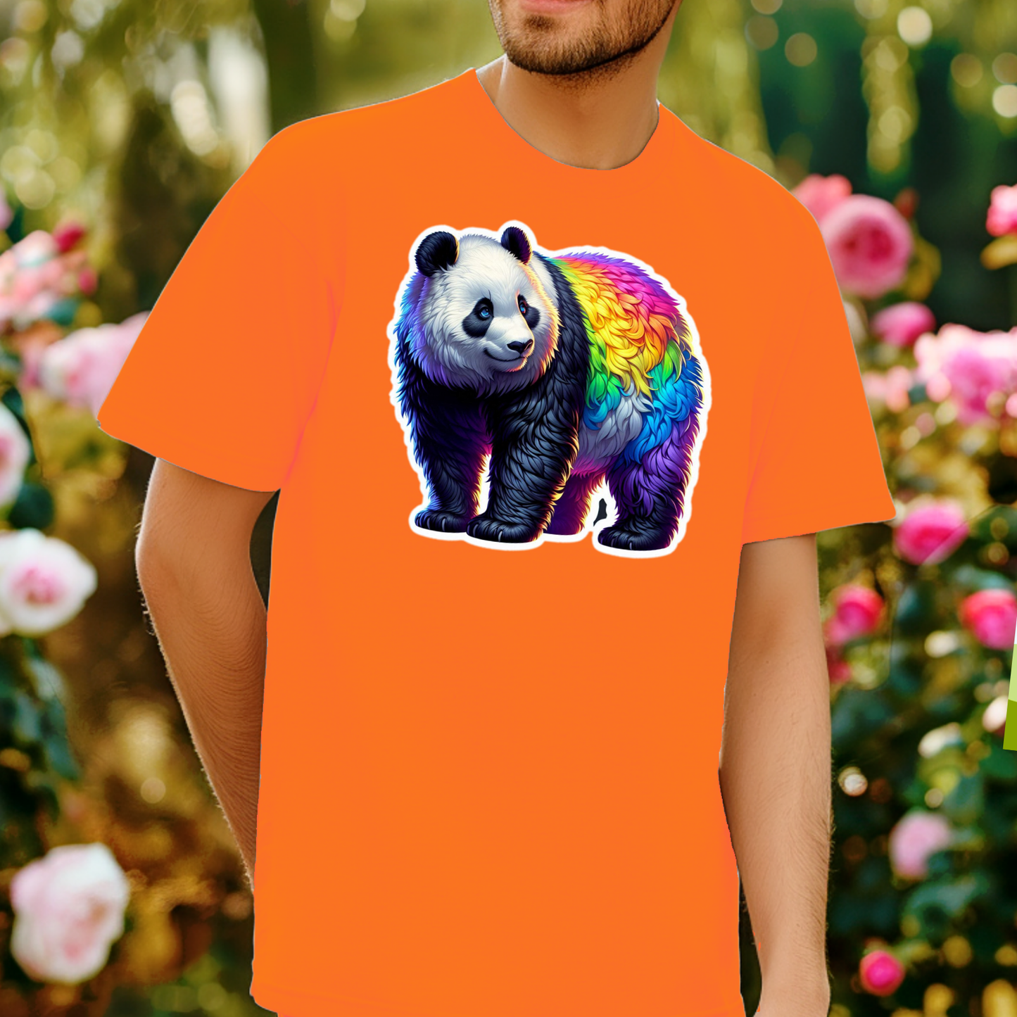 Rainbow Animals T-Shirt Collection: Panda