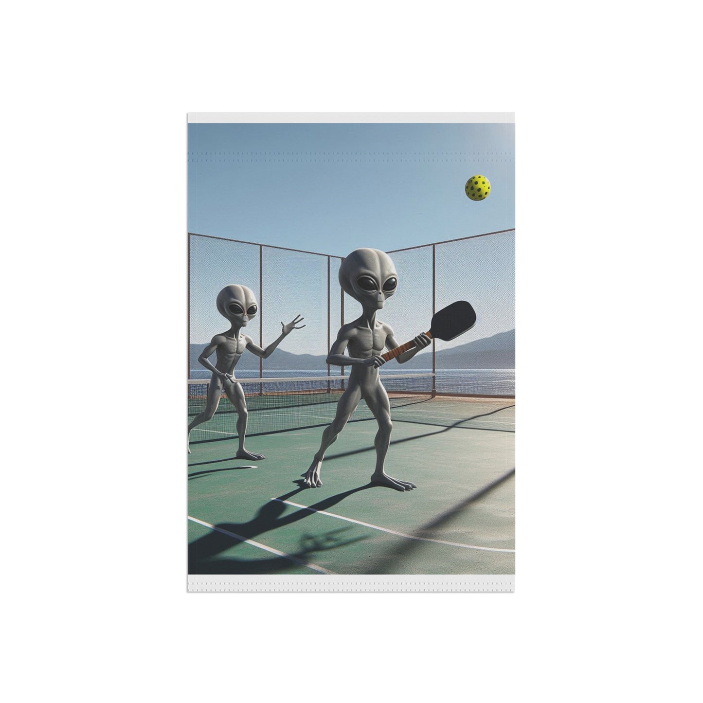 Alien Pickleball Garden & House Banner