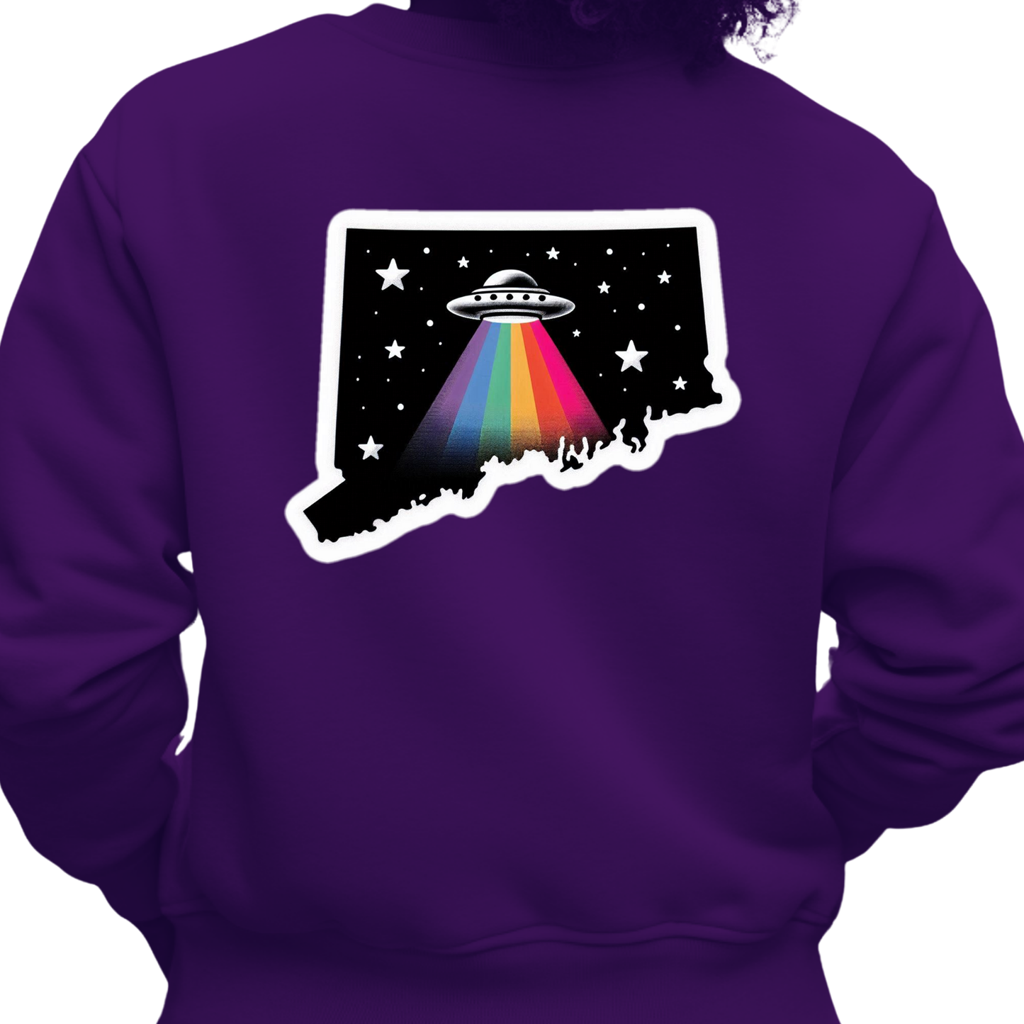 Delaware PRIDE  Sweatshirt On the Back