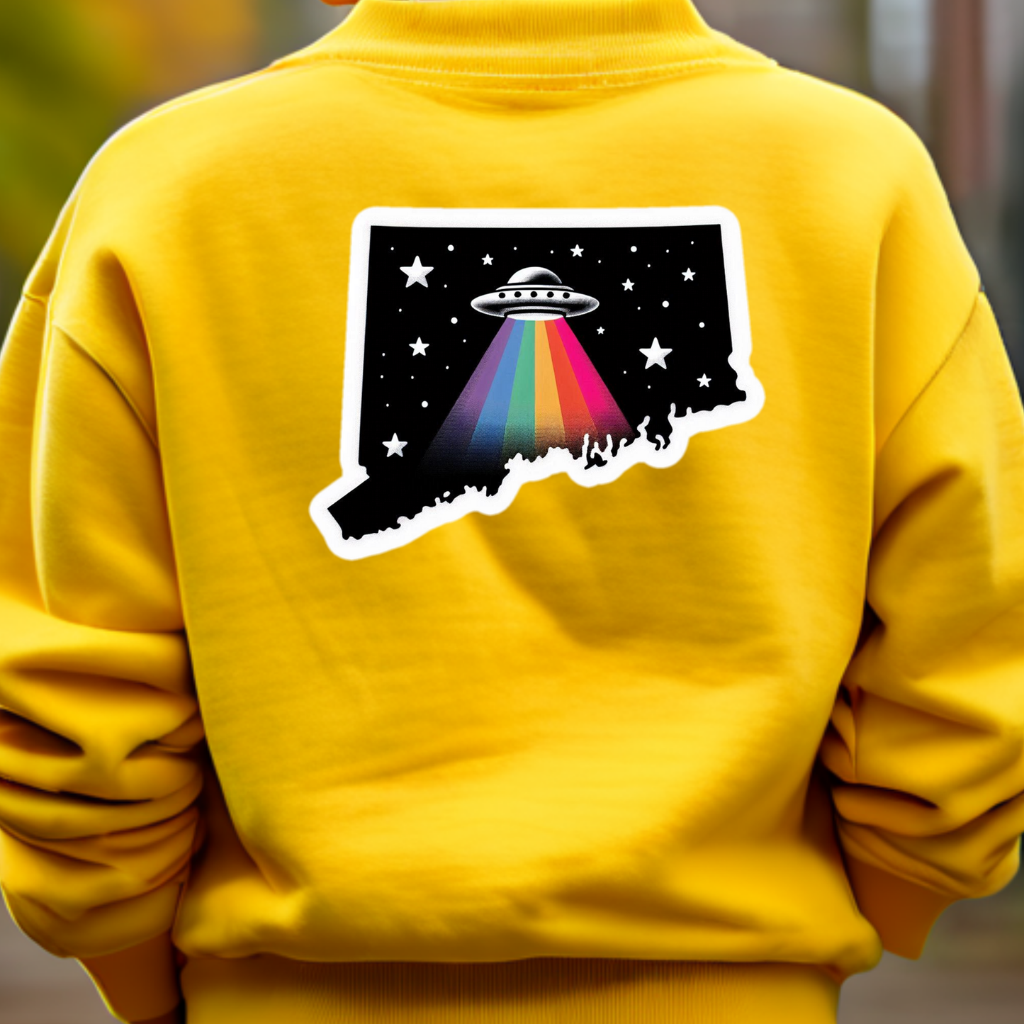 Delaware PRIDE  Sweatshirt On the Back